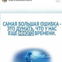 Анисат