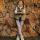 kristina_husky_design
