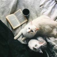 Саида