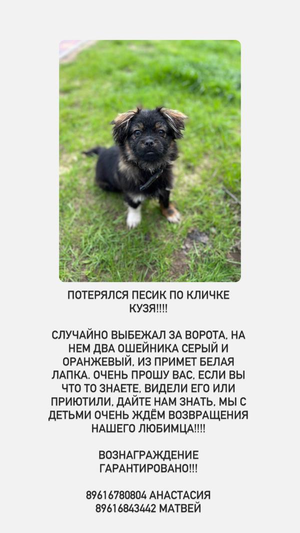 post image
