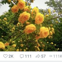 Ксенья