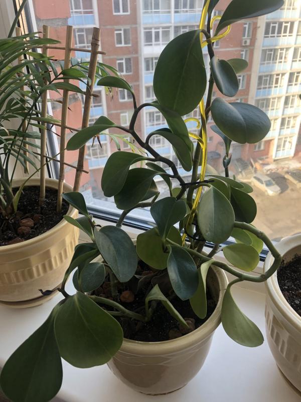 post image 5