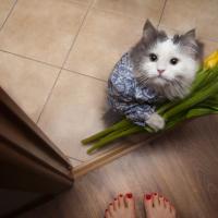 Марина
