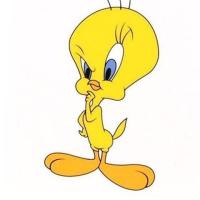 123