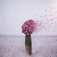 Рабият Далгатова