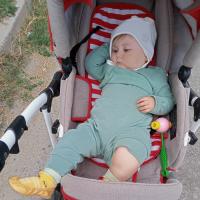 nasta
