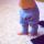 natalia_steposhka