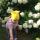 ludmila_n_84