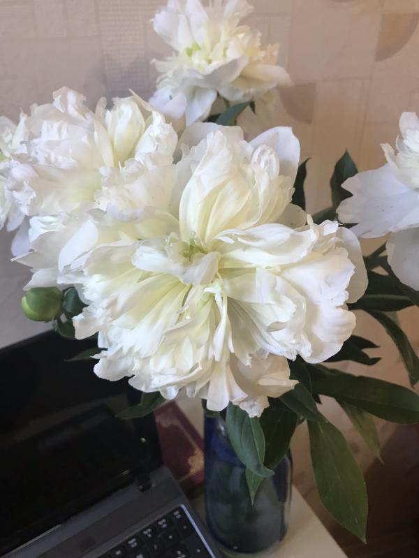 post image 4