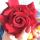 zarazina_89