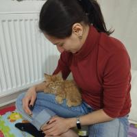 Ирина Дмитренко