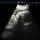 dr_gadjieva_
