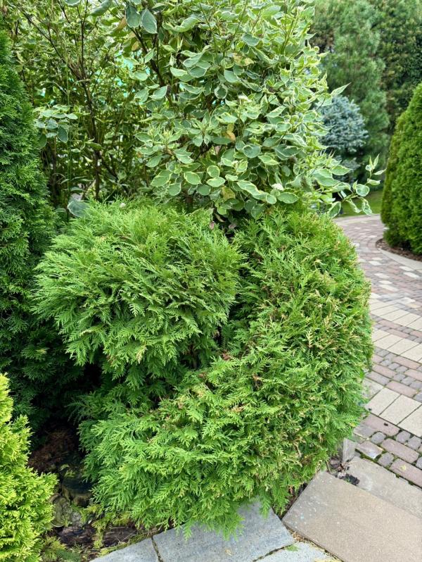 post image 5