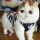 yatanya333_333