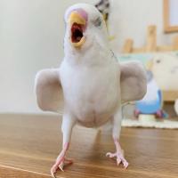Наталья