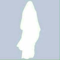 umm aisha