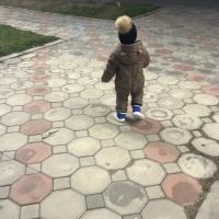 джамиля