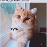 Миланочка