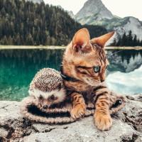 Олечка 