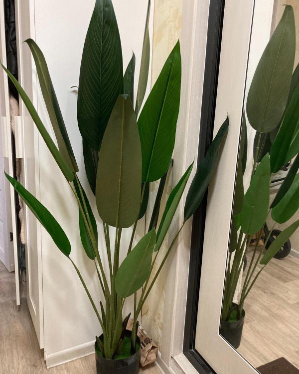 post image 5