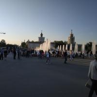 Алена