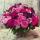 darina_s2