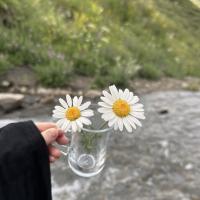 𝓹𝓪𝓽𝔂𝓪 💗