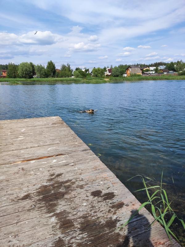 post image 5