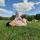elis_2210