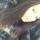 caterina123