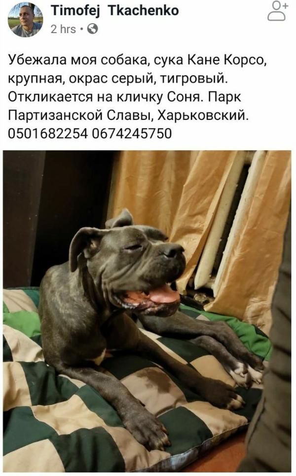 post image