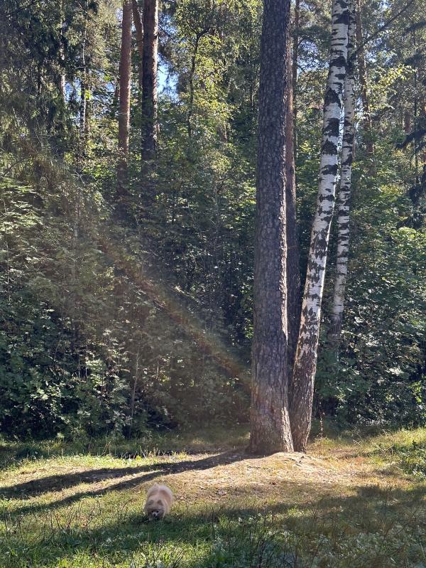 post image 5