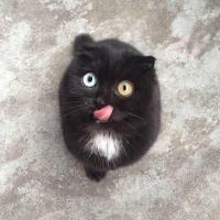 Марик