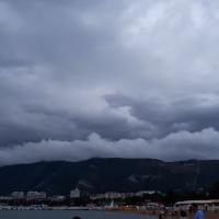 Алена Золотарева