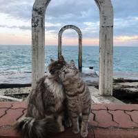 Ксения