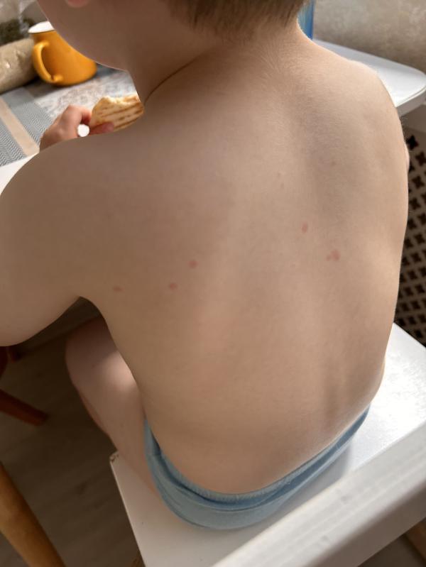 post image 4
