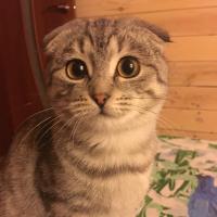 Кристина