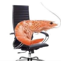 🦐