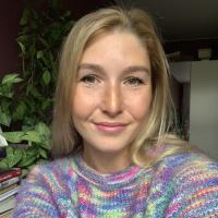 Vlada