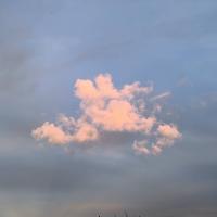 Алеся