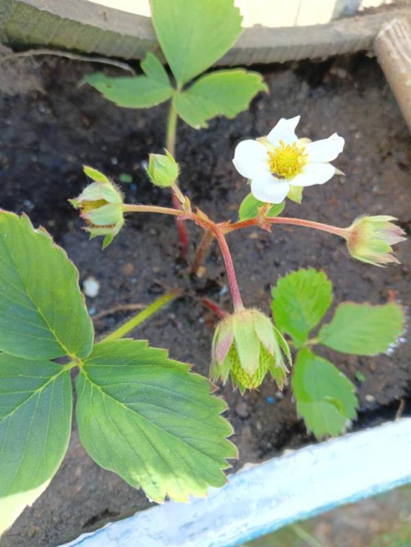 post image 5