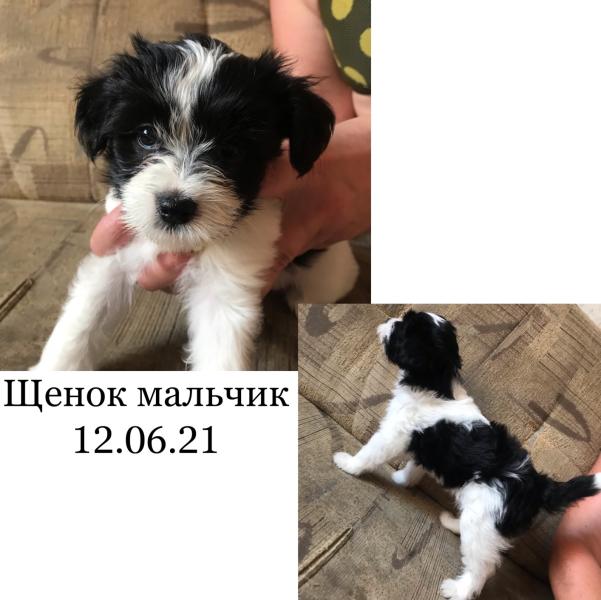 post image 1