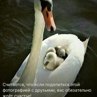 Ленчик