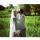 abueva_5050