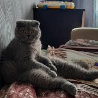 Кристина 