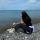 olisha_09