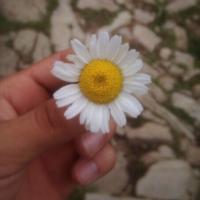 Аминат Магомедова 