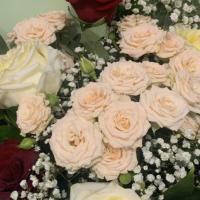 saniyat001812@icloud.com