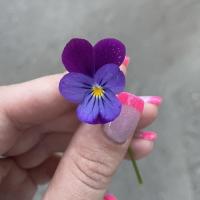Валерия