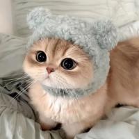 Дарья